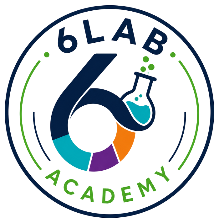 6Lab Academy